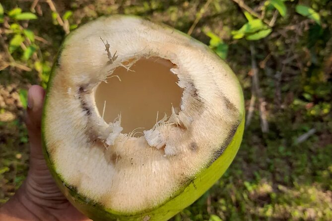 Immersive Coconut Experience by Mulgao Verde - The Hands-On Activities: More Than Just Watching