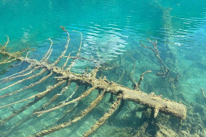 Jiuzhaigou National Park Tickets Booking - Practical Tips for Your Visit