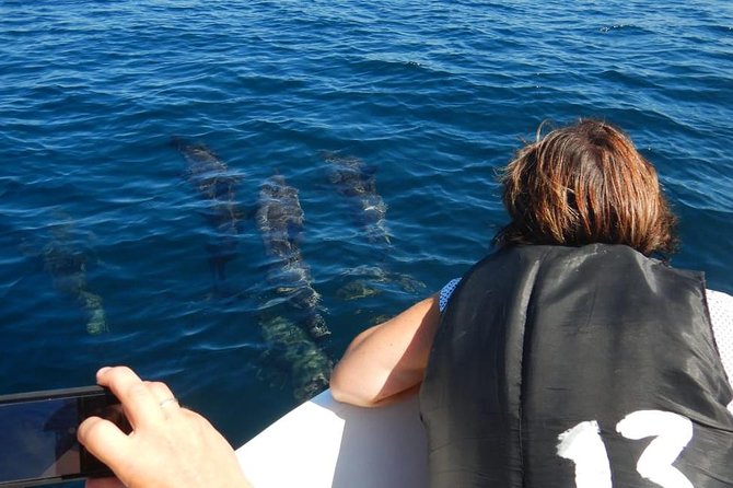 Sunrise dolphin watching experience and Bar Reef snorkelling  Kalpitiya - Why Choose This Experience?