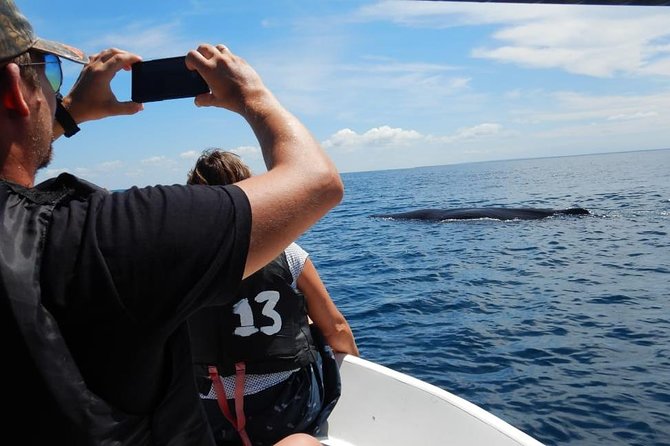 Sunrise dolphin watching experience and Bar Reef snorkelling  Kalpitiya - FAQ: Your Questions Answered