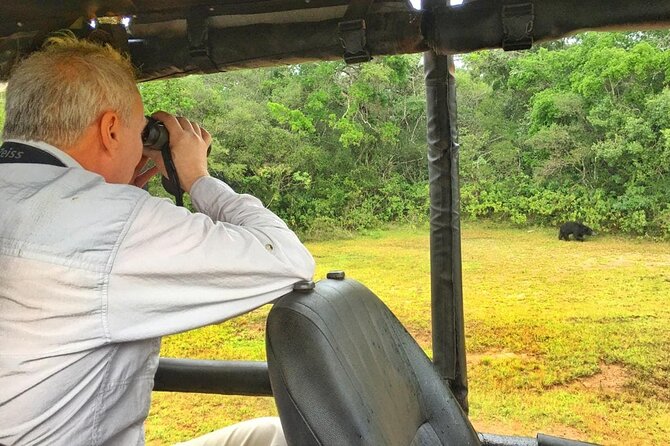 Wilpattu Wild Safari Day Trip - Private & All Inclusive - Final Thoughts: Who Should Book This Tour?
