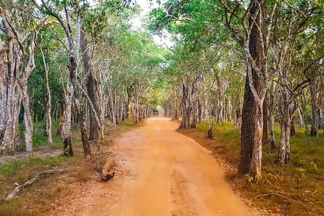 Wilpattu Wild Safari Day Trip - Private & All Inclusive - FAQs