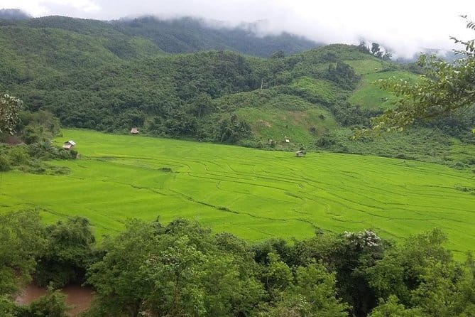 Nam Ha NPA 3 Day Wildlife Jungle Camp and Village Homestay Trek - Final Words