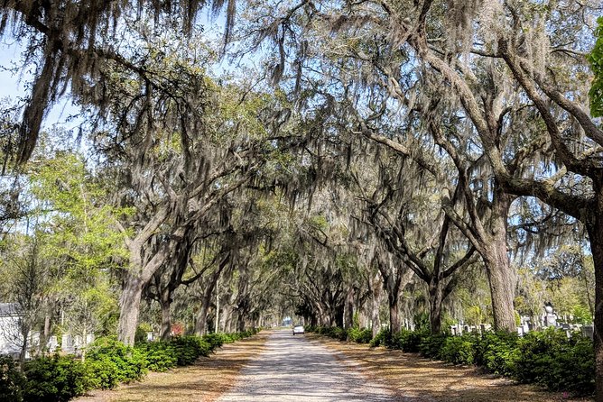Savannah VIP Tour: Private Full-Day Tour - Final Thoughts