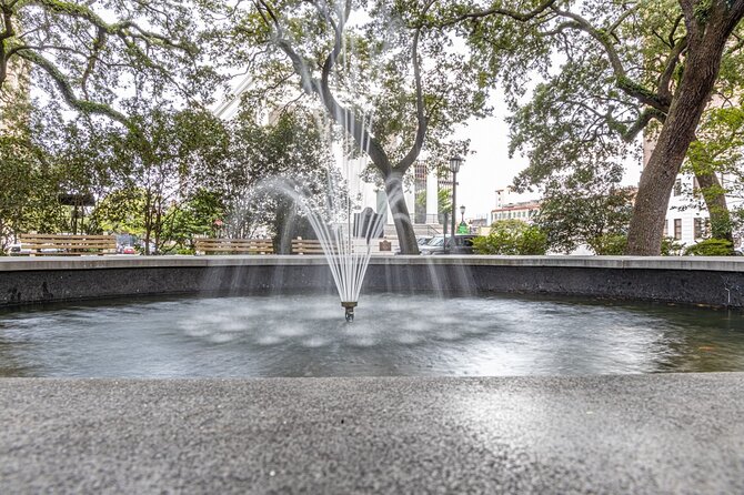 Savannah Photography Tour led by a Local Photographer - The Sum Up