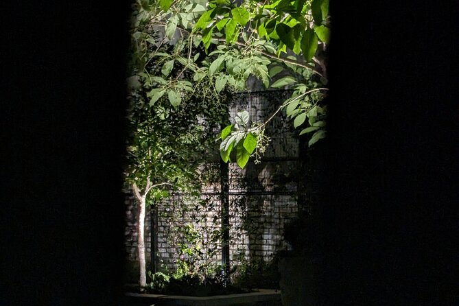 Interactive Paranormal Ghost Walking Tour in Savannah Georgia - A Unique Look at Savannah’s Haunted Streets: The Interactive Paranormal Ghost Walking Tour