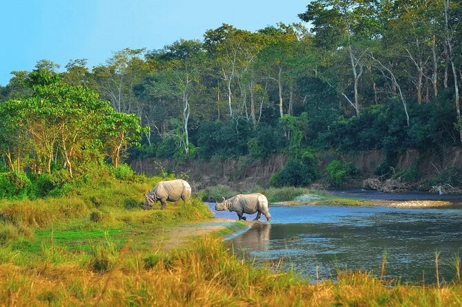 Half Day Sharing Jeep Safari in Chitwan National Park - Practical Tips