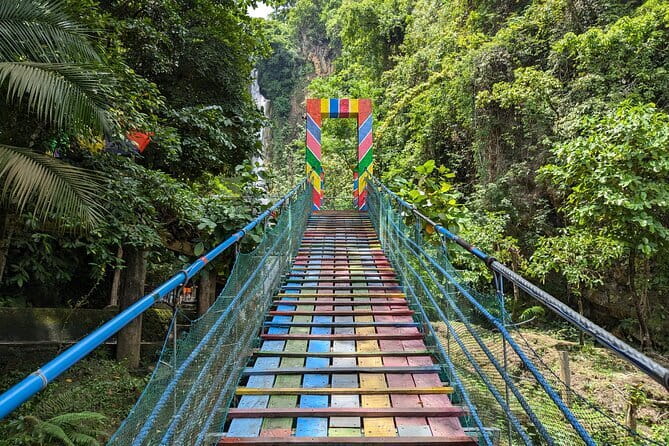 Moalboal Sardine Run, Sea Turtle and Mantayupan Falls - An In-Depth Look: What Makes This Tour Stand Out