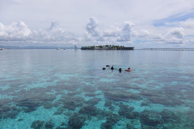Twin Island Snorkeling Adventure at Hiltungan and Nalsuan - Who Will Love This Tour?