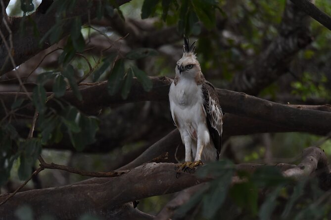 Yala Block 5 Safari - Untouched, Pure Wilderness & No Crowds! - Authentic Insights from Reviews