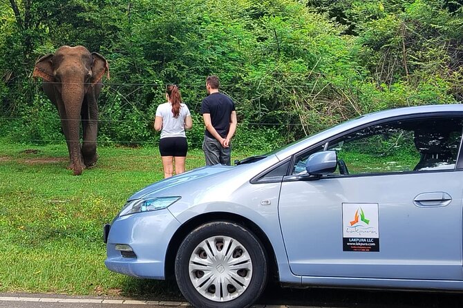 Private Tour from Ella to Mirissa with Udawalawe Safari - Who Should Consider This Tour?