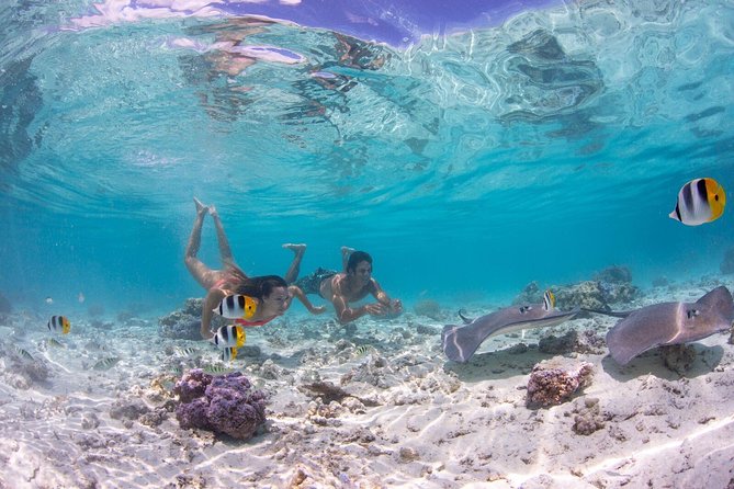 Bora Bora Eco Snorkel Cruise Including Snorkeling with Sharks and Stingrays - An In-Depth Look at the Bora Bora Eco Snorkel Cruise