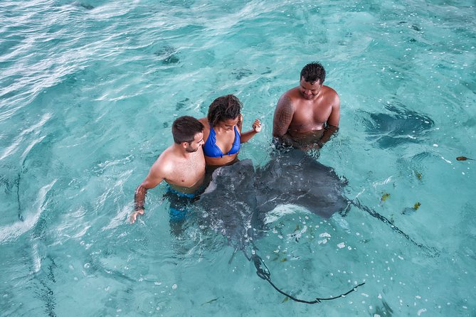 Bora Bora Eco Snorkel Cruise Including Snorkeling with Sharks and Stingrays - Good To Know