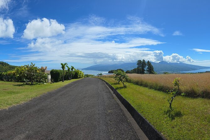 Private Full Day in Papeete and Tahiti Iti with Belveder Lookout - Authenticity and Review Insights