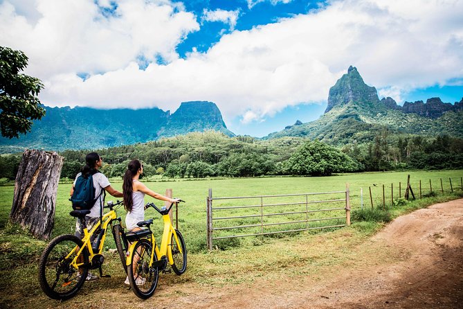 E-Bike Moorea Electric Bike Belvedere Tour (2 people minimum) - Who Will Love This Tour?