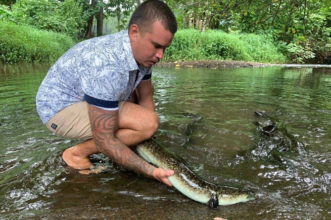 4x4 Moorea Safari Tours : Private tours - The Sum Up