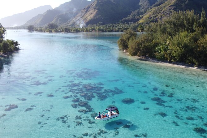 Mo'orea Half Day Private Tour with Snorkeling and Cruising the Lagoon - The Sum Up