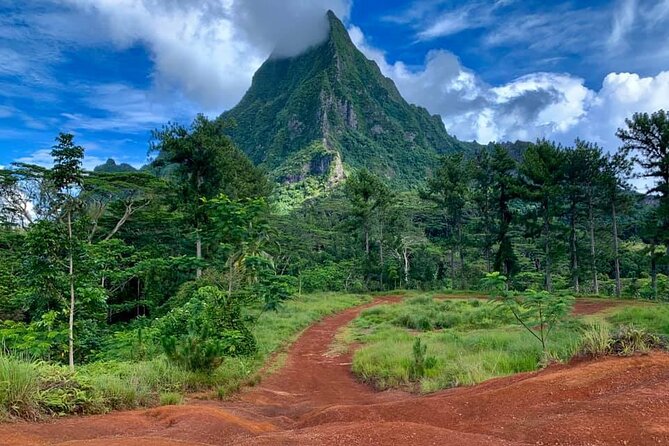 Half-Day Tour of Moorea Island in a Small Group - A Deep Dive into the Moorea Small-Group Tour