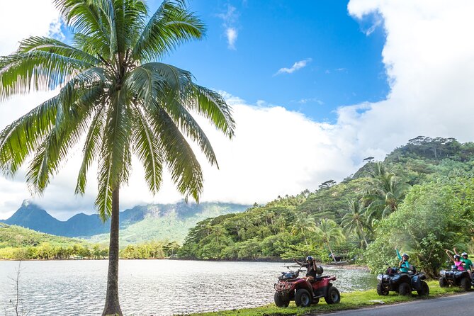 Moorea 4x4 Safari Adventure: Private Shore Tour From Cruise Port - Good To Know  