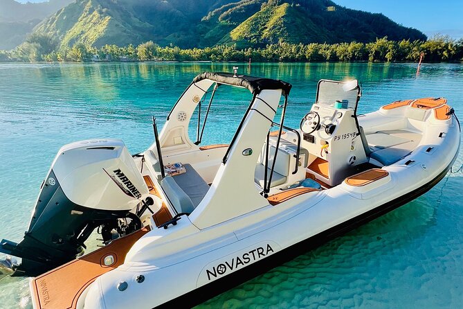 Moorea: Private 4-Hour High-End Boat Excursion - Good To Know