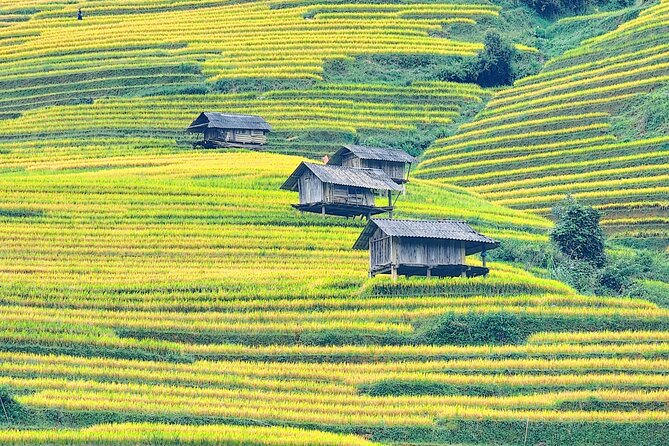Mu Cang Chai Full Day Trekking Tour - Who is this tour best suited for?