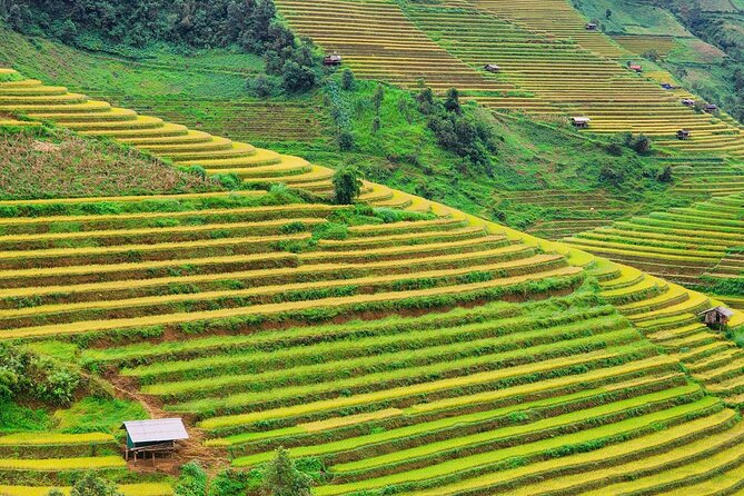 Mu Cang Chai Full Day Trekking Tour - The Sum Up