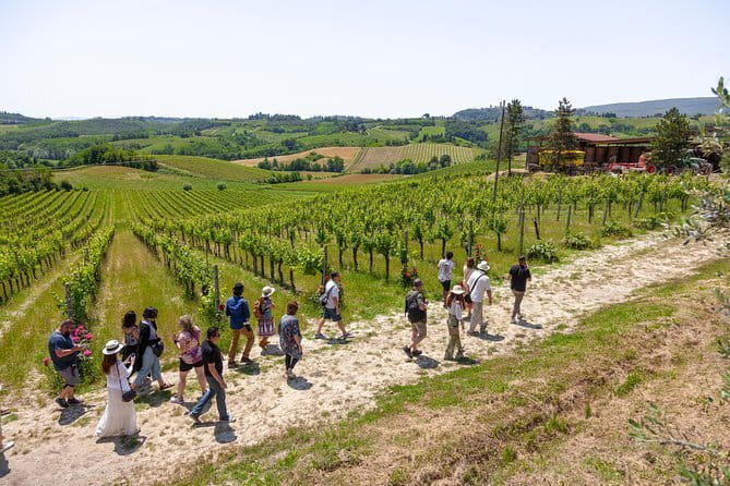Pisa and the Leaning Tower Afternoon Tour from Florence - Additional Sites and Optional Visits