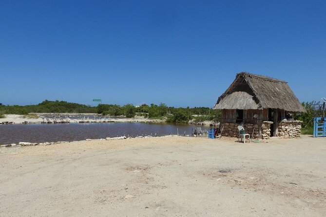 Birdwatching around Merida and coastline - Why this tour offers true value