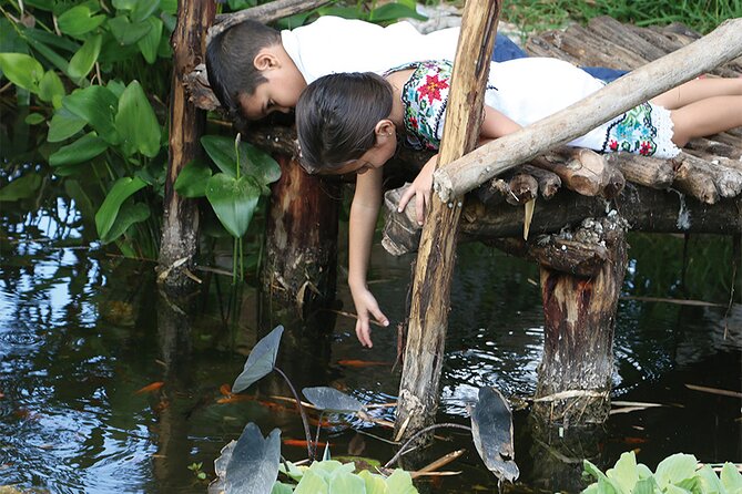 Ancestral Mayan Private Culinary Experience in Merida - The Value of This Culinary Journey