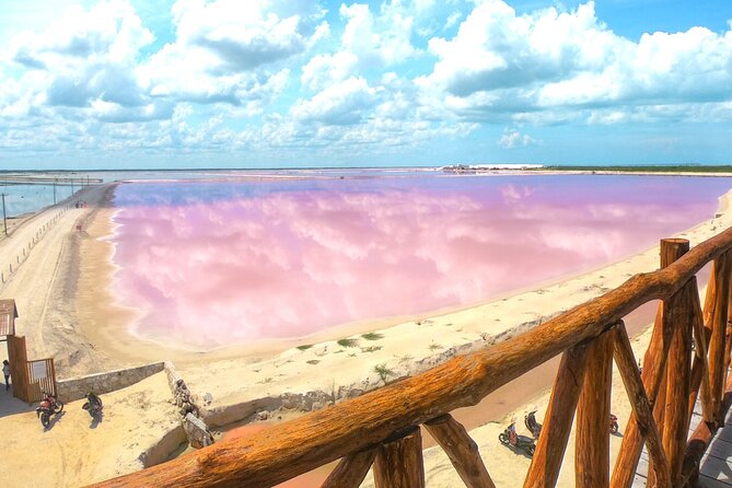 Las Coloradas, Río Lagartos and Playa Cancunito Tour from Mérida - Who Would Love This Tour?