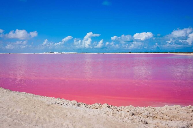 Las Coloradas, Río Lagartos and Playa Cancunito Tour from Mérida - Good To Know