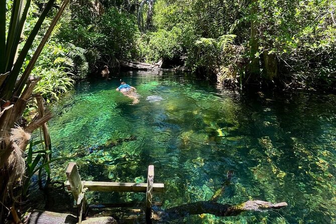 Sisal Mangrove and Beach Kayak Tour From Merida - What the Tour Includes and What It Doesnt  