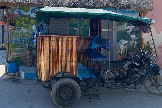 Sisal Mangrove and Beach Kayak Tour From Merida - Authentic Experiences and Traveler Perspectives  