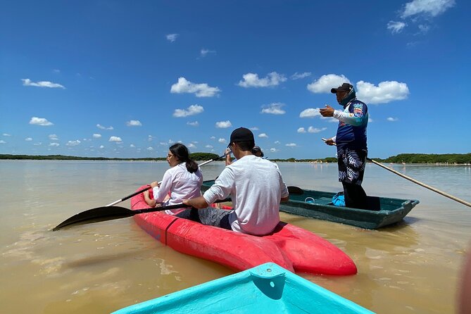 Sisal Mangrove and Beach Kayak Tour From Merida - FAQ: Practical Questions About the Sisal Mangrove and Beach Kayak Tour  