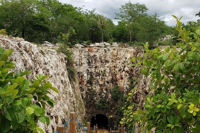 Explore Santa Bárbara Cenote Natural Wonders - Return and Reflection: Ending Back in Mérida