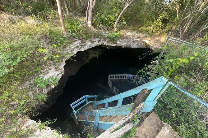 Explore 4 Amazing Cenotes with Lunch Tour from Merida - The Sum Up