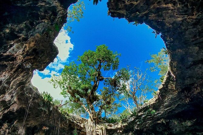 Private Tour: Homun Cenotes Day Trip - In The Sum Up: Is It Worth It?