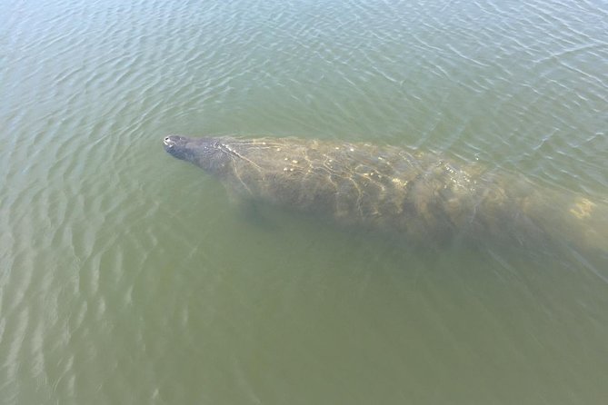 Copacetic Day Sail - Final Thoughts