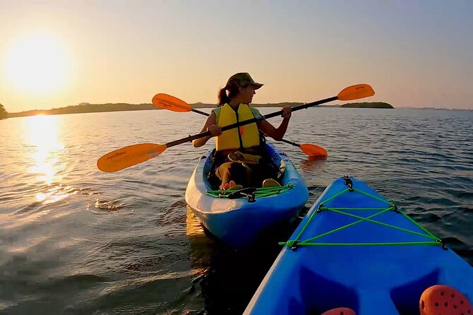 Kayaking the Canals of Venice, FL - In-Depth Review: Why This Kayak Tour Stands Out