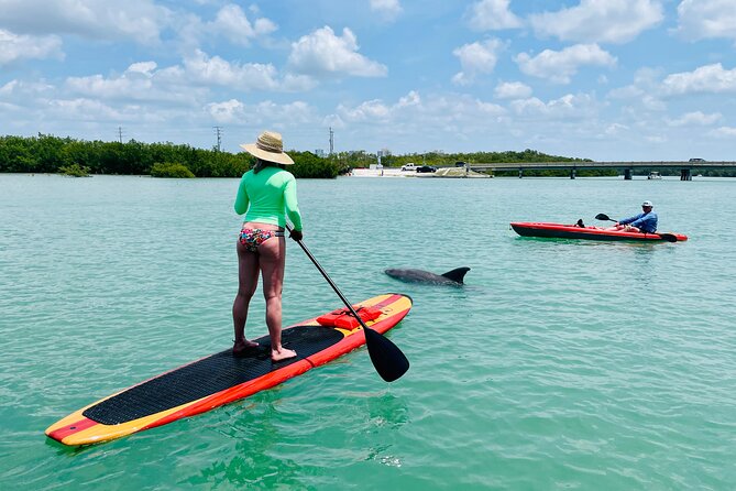 Dolphin and Manatee Adventure Tour of Fort Myers - Who Will Love This Tour?