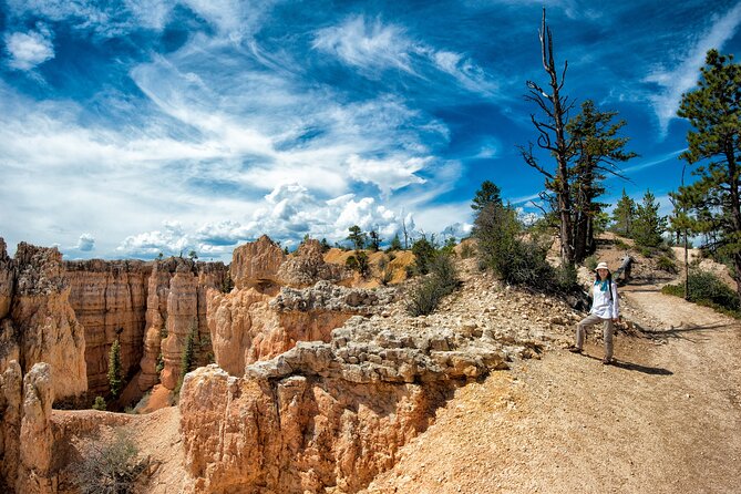 Explore Bryce Canyon: Private Full-Day Tour from Salt Lake City - Transportation and Comfort
