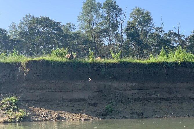 3-Day Chitwan Jungle Safari from Kathmandu  All-Inclusive Tour - Good To Know