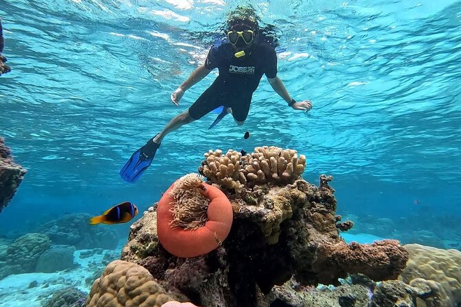 Tahaa: Kayaking Rental - Coral Garden - Snorkeling - The Sum Up