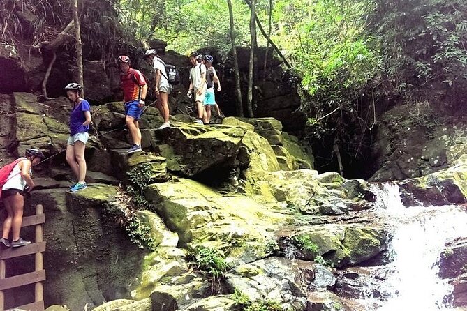 Full-Day Guided Trekking Tour in Bach Ma National Park Vietnam - A Closer Look at the Itinerary