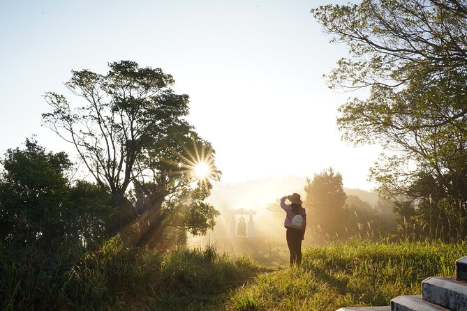 Transfer from Hue to Da Nang or Hoi An via Bach Ma National Park - Trekking in Bach Ma National Park: Nature’s Playground