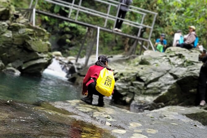Transfer from Hue to Da Nang or Hoi An via Bach Ma National Park - Starting in Hue: The Adventure Begins