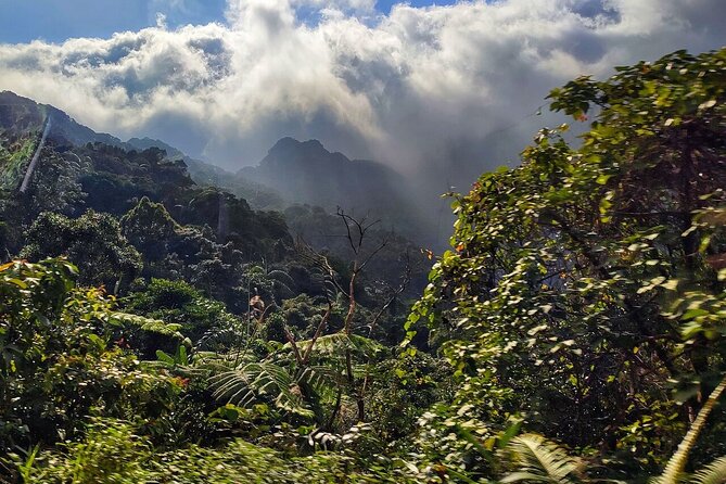 Luxury Bach Ma National Park Small Group Tour from Hue Da Nang - FAQ