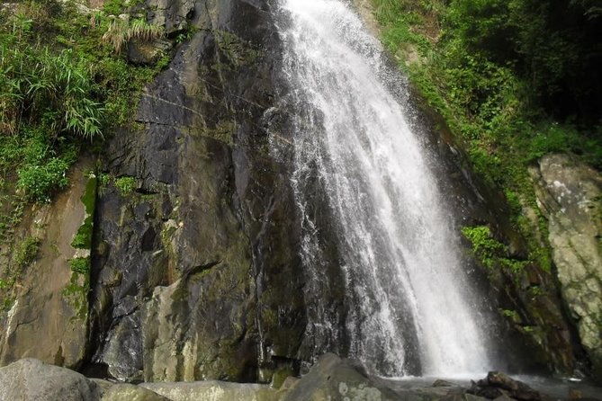 Explore Bach Ma National Park From Hue - Who Would Love This Tour?