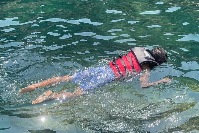 Experience Cham Islands Snorkeling Trip by Speedboat - What the Tour Entails: A Detailed Breakdown