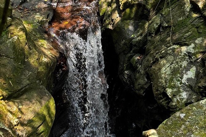 Experience Da Nang Hoi An to Hue via Bach Ma National Park Trekki - What’s Included & What’s Not